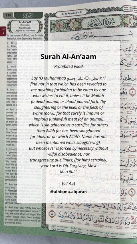 Open page of Surah Al-An'am from the Quran with verse 6:145 highlighting Islamic dietary laws and Allah's mercy.