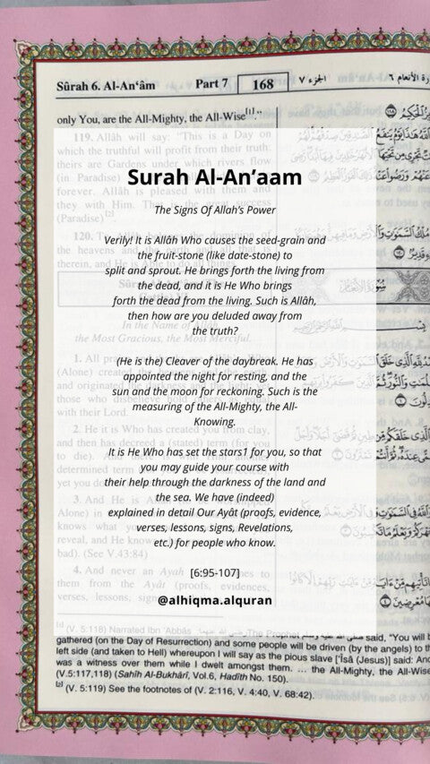 Visual summary of Surah Al-An'am 6:95-107 highlighting monotheism, with tips for daily life.