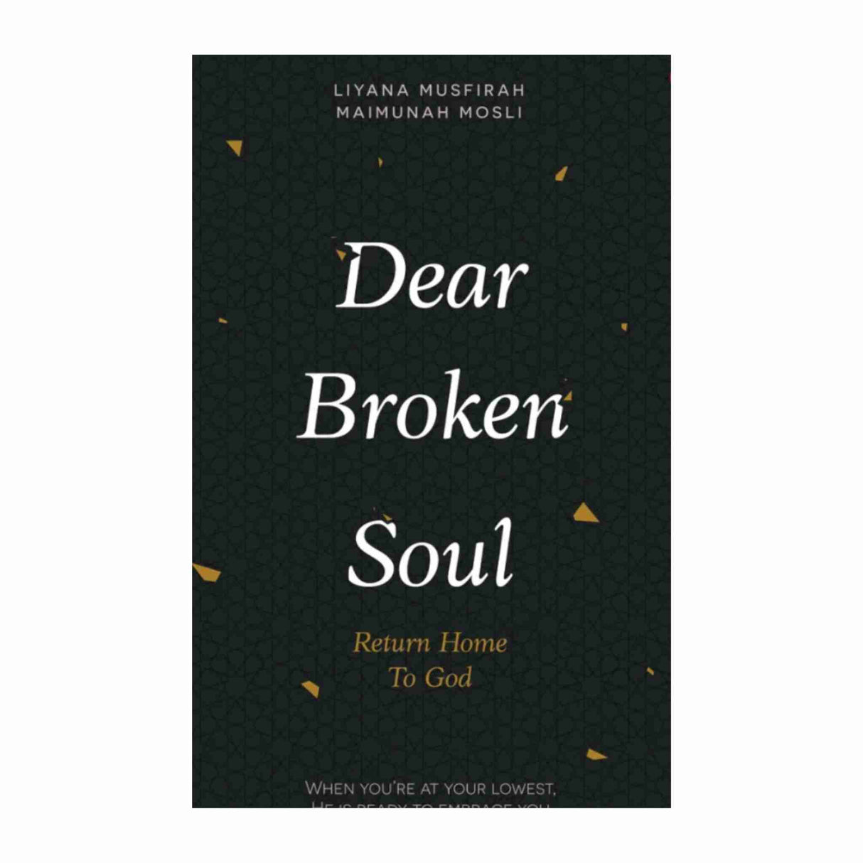 BOOK DEAR BROKEN SOUL