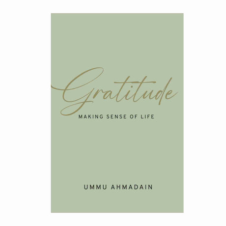 BOOK GRATITUDE MAKING SENSE OF LIFE 