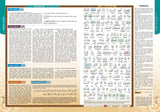 AL-QURAN AL-KARIM AMAZING INNER CONTENT 